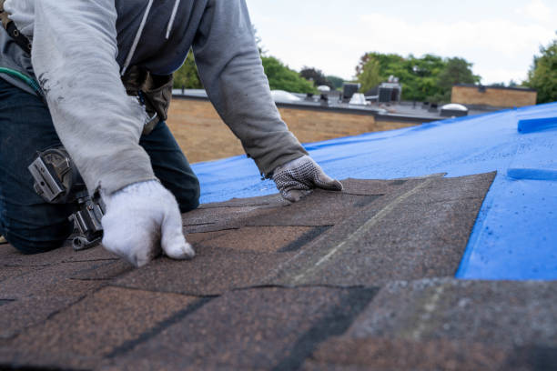 Best Metal Roofing Installation  in Breckenridge Hills, MO