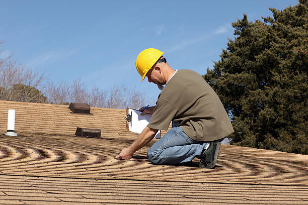Best Roof Moss and Algae Removal  in Breckenridge Hills, MO